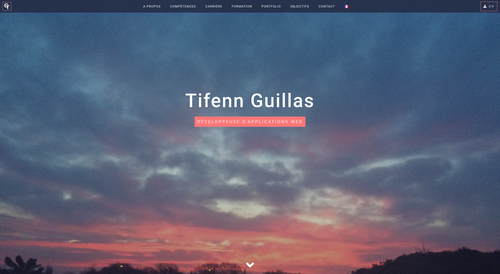 Project tifenn-guillas.fr thumbnail