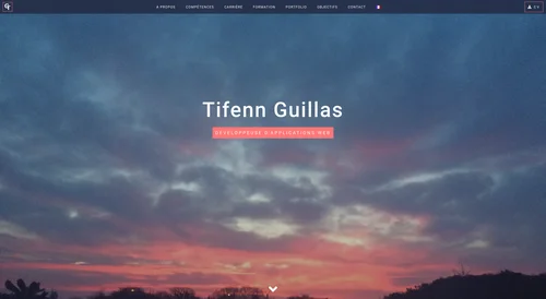 tifenn-guillas.fr
